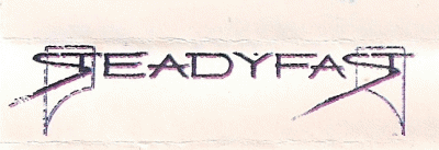 logo Steadyfast